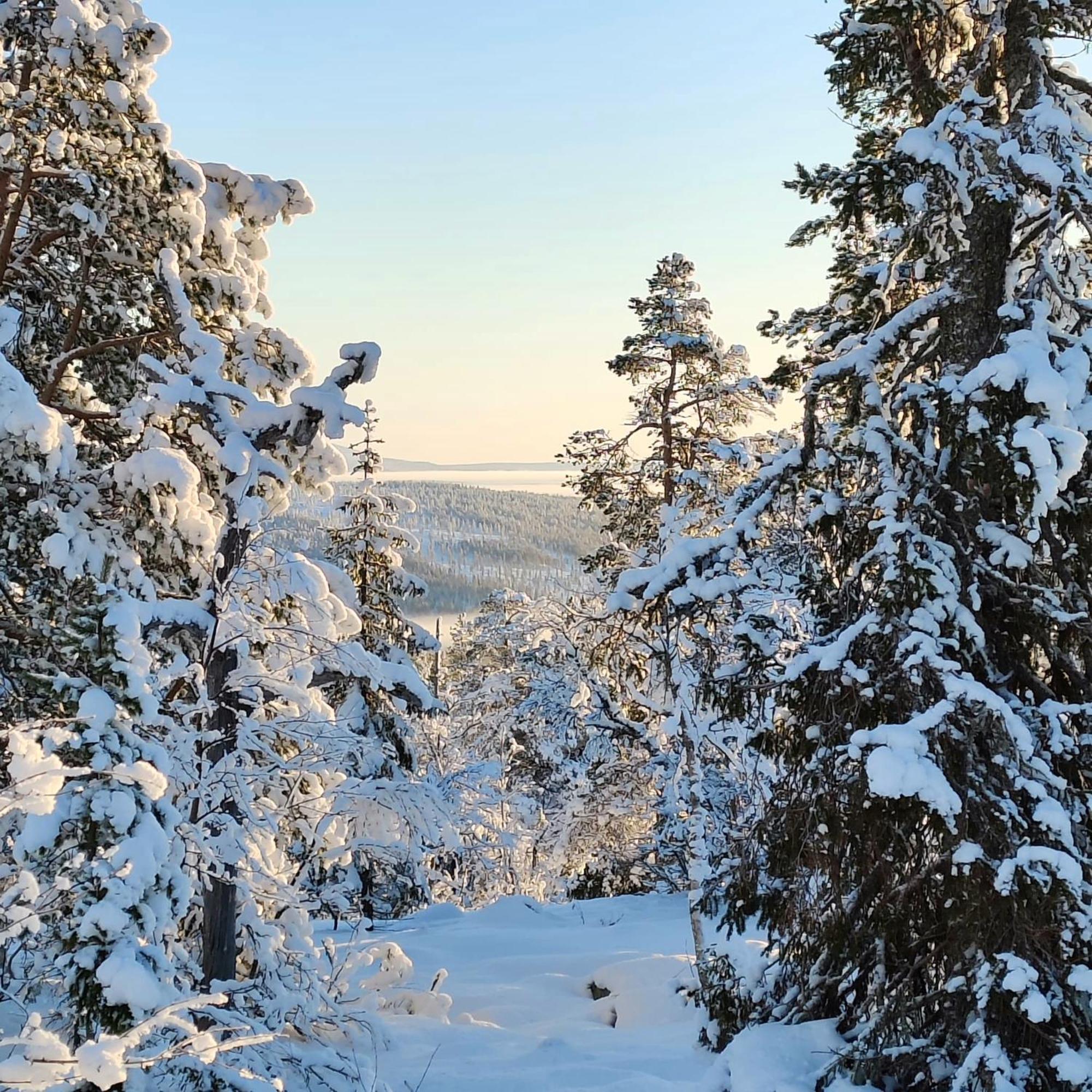 Levi Sky Igloo With Private Sauna And Hot Tub Eksteriør bilde